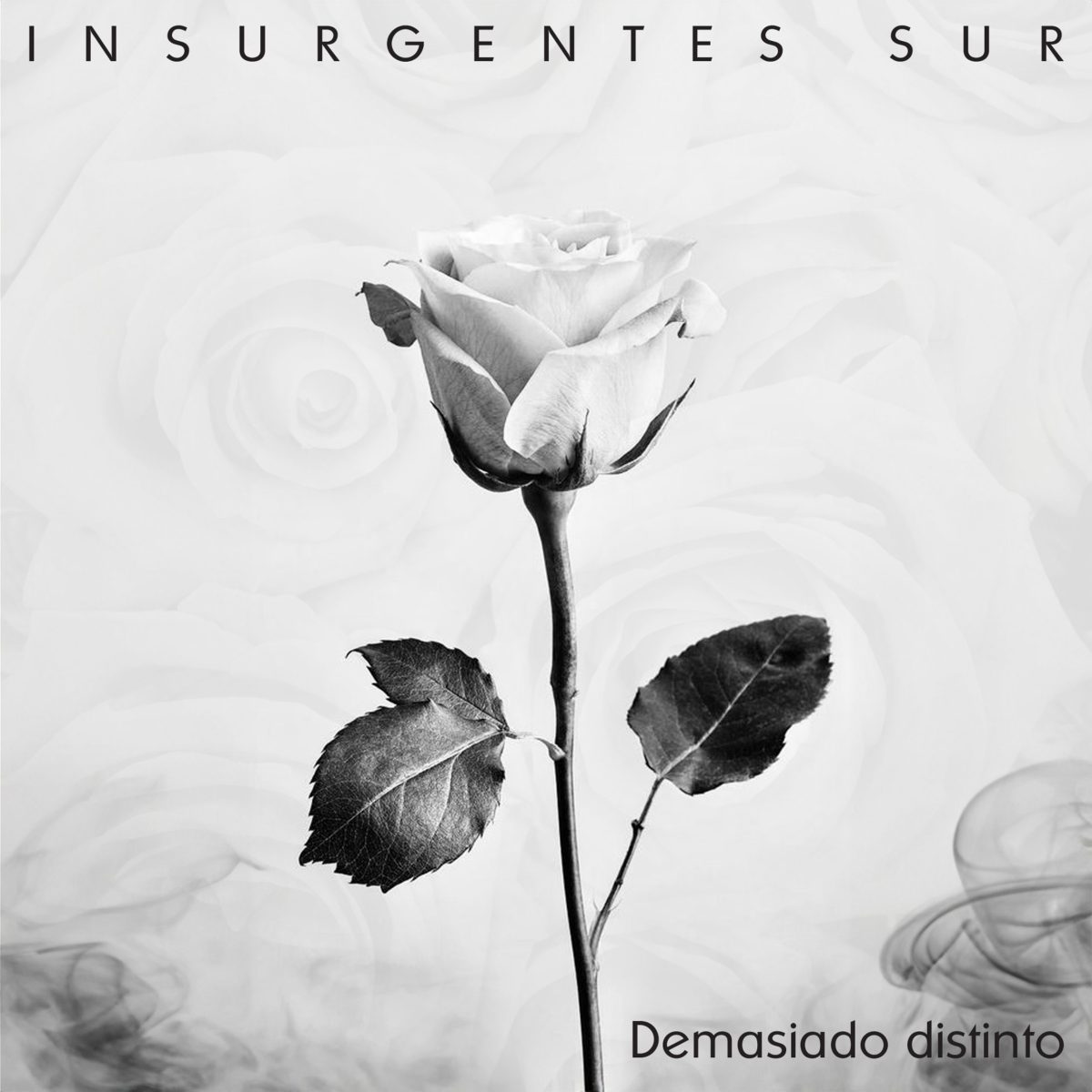 Insurgentes Sur